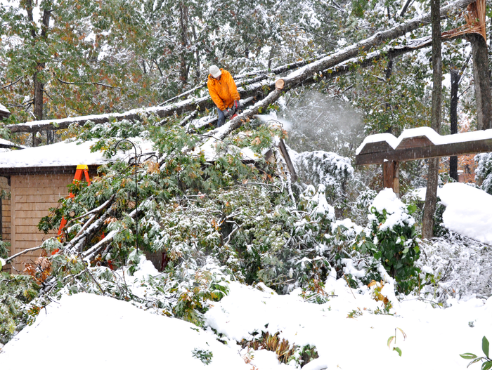 Man using chainsaw to remove fallen tree from house
