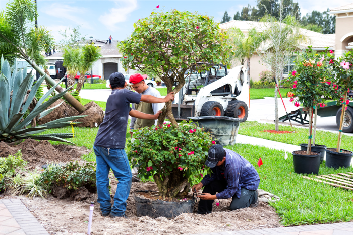 group of men landscaping a front yard