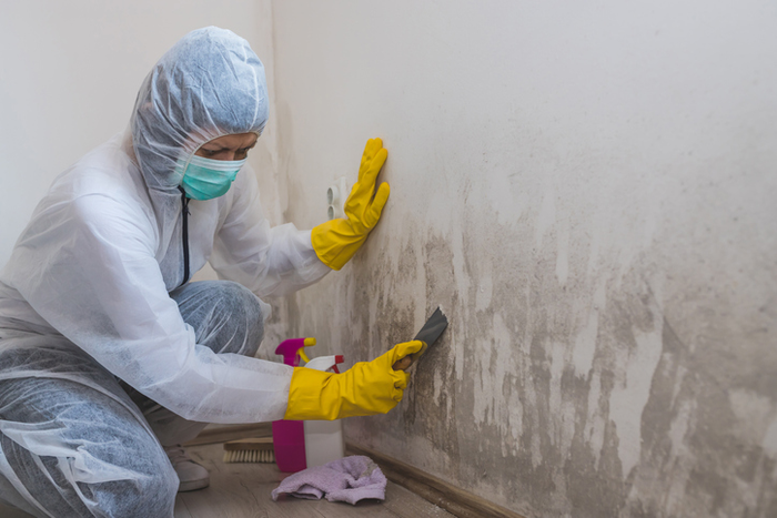 Person in protective suit removes mold from wall 