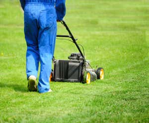 How Much Does It Cost To Hire A Lawn Services In My Area?