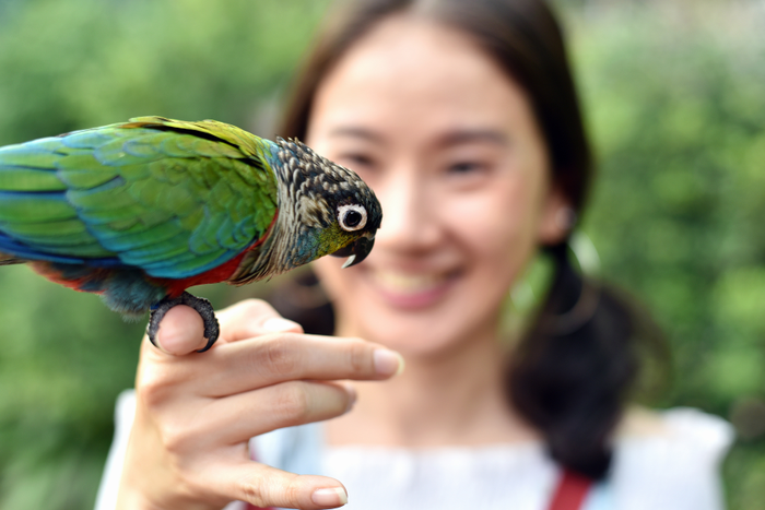 Smiling woman playing with her bird pet.