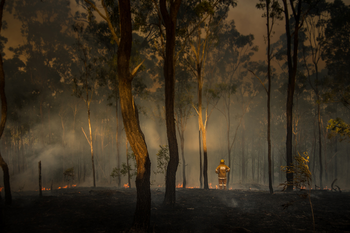 A loan Rural Firefighter observes the damage caused by bushfires