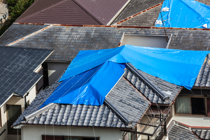 Houses in the middle of a natural disaster with blue tarps covering roofs
