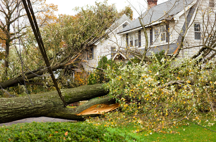 Tree fallen on top of a home from a natural disaster 