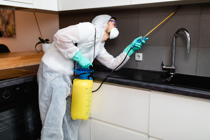 House pest control