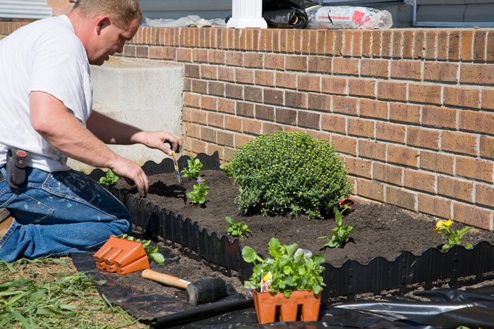 Man planting flowers in yard, dressing up landscape in front of brick wall